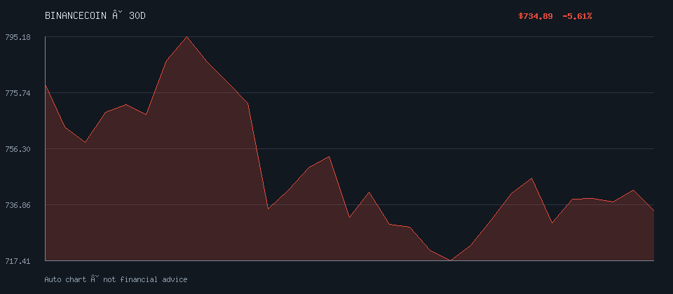 BINANCECOIN daily trend